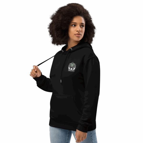 Aries Premium Eco Hoodie - Image 3